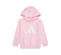 Adidas Felpa Con Cappuccio Essentials Big Logo