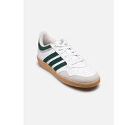 adidas Unisex - Adulto Hoops 4.0 Shoes, Ftwr White Collegiate Green Gum 3, 44 EU