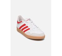 adidas sportswear - Hoops 4.0 Bianco - Sneakers 46 Bianco