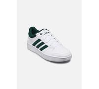 adidas Uomo Hoops Classic Shoes, Ftwr White/Collegiate Green/Ftwr White, 40 EU