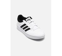 Adidas Hoops Classic Junior Trainers Bianco EU 38 Bambini