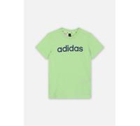 adidas sportswear - LK LIN CO TEE Verde - Abbigliamento 5A - 6A Verde