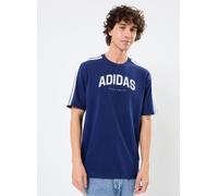adidas sportswear - M C COLLEG TEE Blu - Abbigliamento L Blu