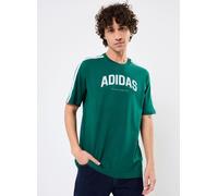 ADIDAS M C COLLEGE TEE JJ3869 - VERDE / S