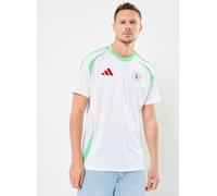adidas sportswear - Maillot de foot Algerie FAF H JSY M - Unisexe Bianco - Abbigliamento L Bianco