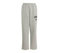 ADIDAS SPORTSWEAR Pantaloni sportivi 'Essentials Collegiate' grigio sfumato / nero Bambini ADIDAS SPORTSWEAR 152 grigio sfumato / nero