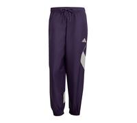 ADIDAS SPORTSWEAR Pantaloni sportivi 'Stadium' indaco / grigio argento Uomo ADIDAS SPORTSWEAR XS