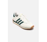 adidas sportswear - RUNVISTA M Bianco - Sneakers 39 1/3 Bianco