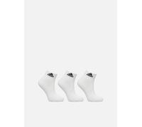 adidas sportswear - T Spw Ank 3P Bianco - Calze e collant S Bianco