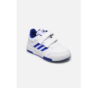 Scarpe Tensaur Hook and Loop Cloud White / Lucid Blue / Core Black 35