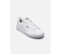 adidas sportswear - Urban Court W Bianco - Sneakers 41 1/3 Bianco