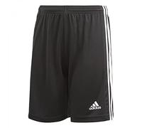 Adidas Pantaloncini Squadra 21 Aeroready Bambino Nero/Bianco 5-6 anni