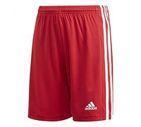 Adidas Squadra 21 Shorts Rosso 7-8 Years Ragazzo