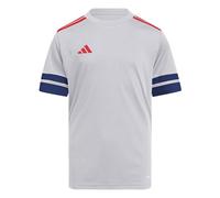 adidas SQUADRA25 JERSEY SHORT SLEEVE KIDS, T-shirt Unisex - Bambini, glory grey/team navy blue 2/pure ruby,
