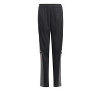 adidas SQUADRA25 TRAINING PANT KIDS, Pantaloni sportivi Unisex - Bambini, black/team grey four/pure ruby,