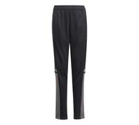 adidas SQUADRA25 TRAINING PANT KIDS, Pantaloni sportivi Unisex - Bambini, black/team grey four/pure ruby,