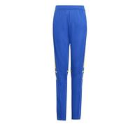 adidas SQUADRA25 TRAINING PANT KIDS, Pantaloni sportivi Unisex - Bambini, team royal blue/team yellow,