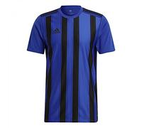 Adidas Striped 21 JSY, T-Shirt Uomo, Team Royal Blue/Black, S