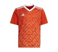 adidas T Icon 23 JSY Y Jersey (Manica Corta), Arancione Team, 176 Bambini e Ragazzi