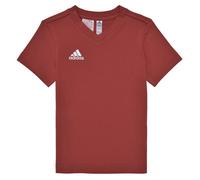 adidas T-shirt ENT22 TEE Y in Rosso 9 / 10 anni