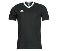 adidas T-shirt Entrada 22 Jersey in Nero EU XL