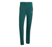 Pantaloni Terrex Xperior Light Aurora Ivy S