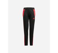 Adidas Tiro 24 Jr - Pantaloncini Calcio