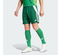 Adidas Tiro 24 male Pantaloncini - Verde - Tela di cotone - Foot Locker Green M
