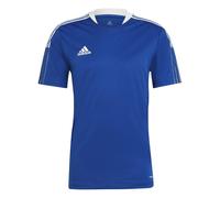 Adidas TIRO21 TR JSY, T-Shirt Unisex-Adulto, Team Royal Blue, Taglio regolare S
