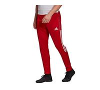 Adidas TIRO21 TR Pnt, Pantaloni Sportivi Unisex-Adulto, Tmpwrd, 2XL