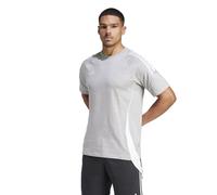 Adidas Tiro24 Sweat Short Sleeve T-shirt Grigio L / Regular Uomo