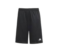 Adidas Short Train Essentials Logo Regular Fit Junior | Adidas 13 - 14 ANNI