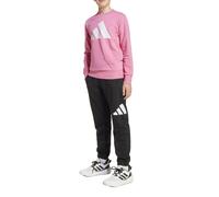 Adidas Tuta da Ragazza Essentials Joggers Rosa Taglia 15-16 A Cod JD2096