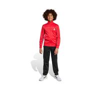 ADIDAS TUTA GINNASTICA JUNIOR JX0205 J CP TR TS RED/BLACK/WHITE