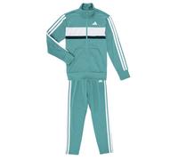 adidas Tuta Seasonal Essentials Tiberio 3-Stripes Tricot Track Suit Kids in Verde 13 / 14 anni