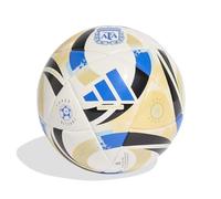 adidas Unisex-Adult Argentina 25 Mini Soccer Ball, White/Icey Blue/Glory Blue/Black, 1