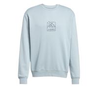 adidas Unisex - Adulto Terrex Graphic Crew, Magic Grey, L