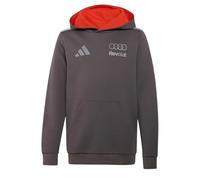 adidas Unisex - Bambini e Ragazzi Audi Revolut Formula One Team 2026 Driver Sweatshirt, Grey Strata, 9-10 Years