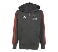 adidas Unisex - Bambini e Ragazzi Audi Revolut Formula One Team Dna Full Zip Sweatshirt, Utility Black, 13-14 Years