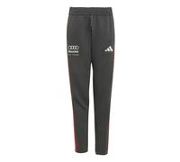 PANTALONI DNA TEAM AUDI REVOLUT F1