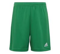 Adidas Unisex - Bambini e Ragazzi Entrada 22 Shorts, Team Green, 5-6 Years