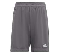 adidas Unisex - Bambini e ragazzi Entrada 22 Shorts, Team Grey Four, 11-12 Years