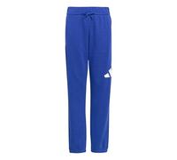 adidas Unisex - Bambini e Ragazzi Essentials Big Logo Pants, Team Royal Blue/White, 7-8 Years