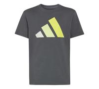 adidas Unisex - Bambini e Ragazzi Essentials Big Logo Shirt, Grey Six/Orbit Grey/Frozen Lemon/Solar Lemon, 13-14 Years