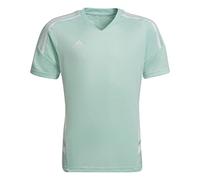 adidas Unisex - Bambini e Ragazzi T-Shirt, Clear Mint, 9-10 Anni