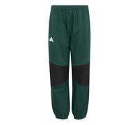 adidas Unisex - Bambini e Ragazzi Terrex Kids Multi 2 Layer Climaproof Rain Pants, Collegiate Green, 13-14 Years