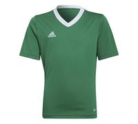 Adidas Unisex - Bambini Entrada 22 Jersey, Team Green/White, 7-8 Years