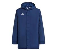 Adidas Ent22 Stadium Jacket Blu 11-12 Years Bambini