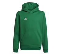 adidas Unisex - Bambini Entrada 22 Sweat Hoodie, team green/white, 15-16 Years