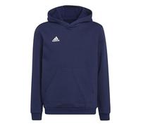 Adidas Entrada 22 Hoodie Blu 15-16 Years Bambino,Bambina